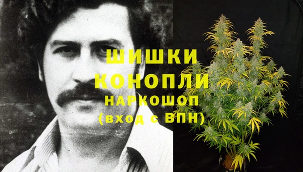 гашик Карпинск