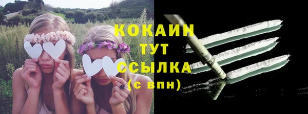 гашик Карпинск