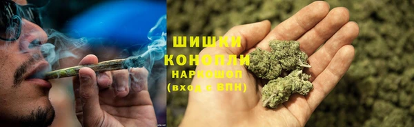дмт Кинешма