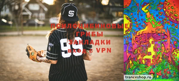 мдпв Касимов