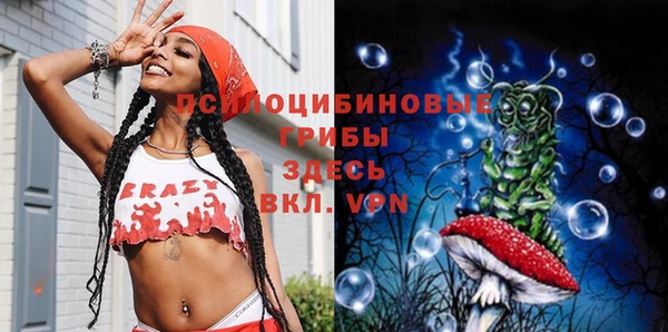 дмт Кинешма