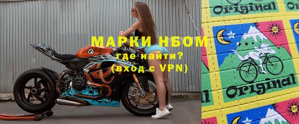 гашик Карпинск