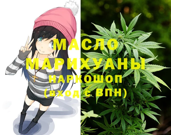 гашик Карпинск