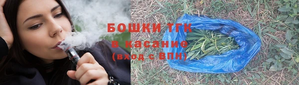 гашик Карпинск